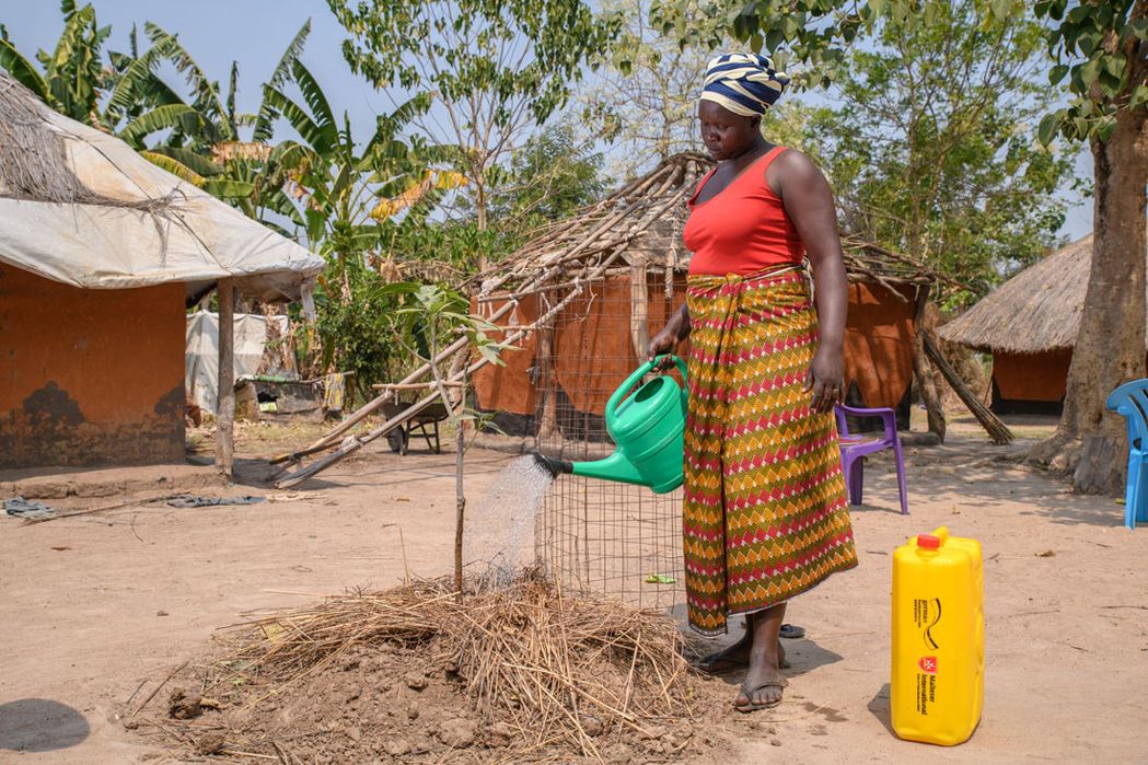 Baumsetzlinge in Uganda