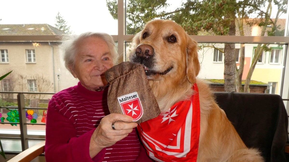 Eine ältere Frau sitzt mit einem Golden Retriever mit rotem Halstuch auf einem Sessel.