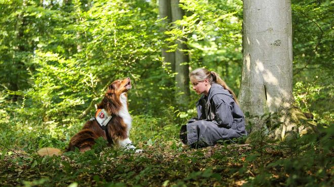 Ein Rettungshund und eine junge Frau in einem Wald