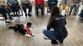 Umringt von Senioren auf Stühlen und Rollstühlen liegt ein Hund neben einer knienden Malteser Helferin.