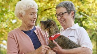 Eine Seniorin und eine ehrenamtliche Helferin der Malteser streicheln einen Hund