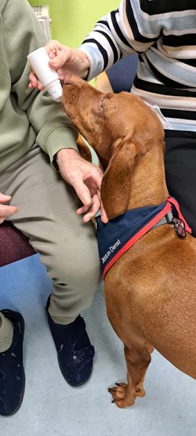 Besuchshunde schaffen Nähe 