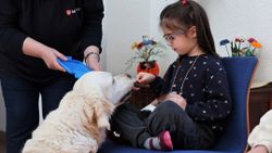 Ein Kind hält einem Malteser Besuchshund ein Leckerli hin.