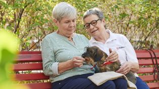 Zwei ältere Frauen sitzen mit einem Rauhaardackel auf einer Parkbank vor Bäumen