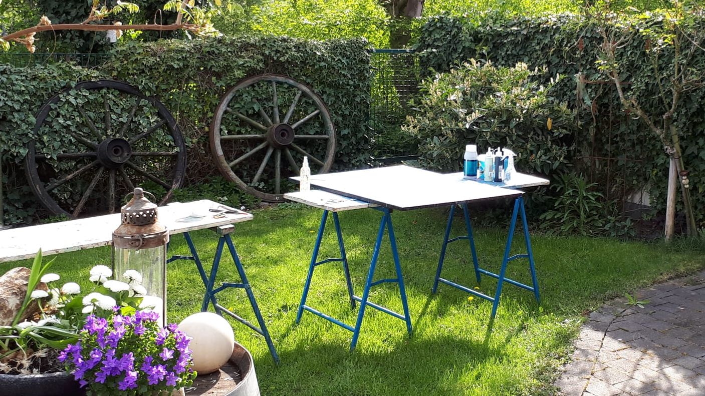 Maltisch, der in einem Garten im Freien steht