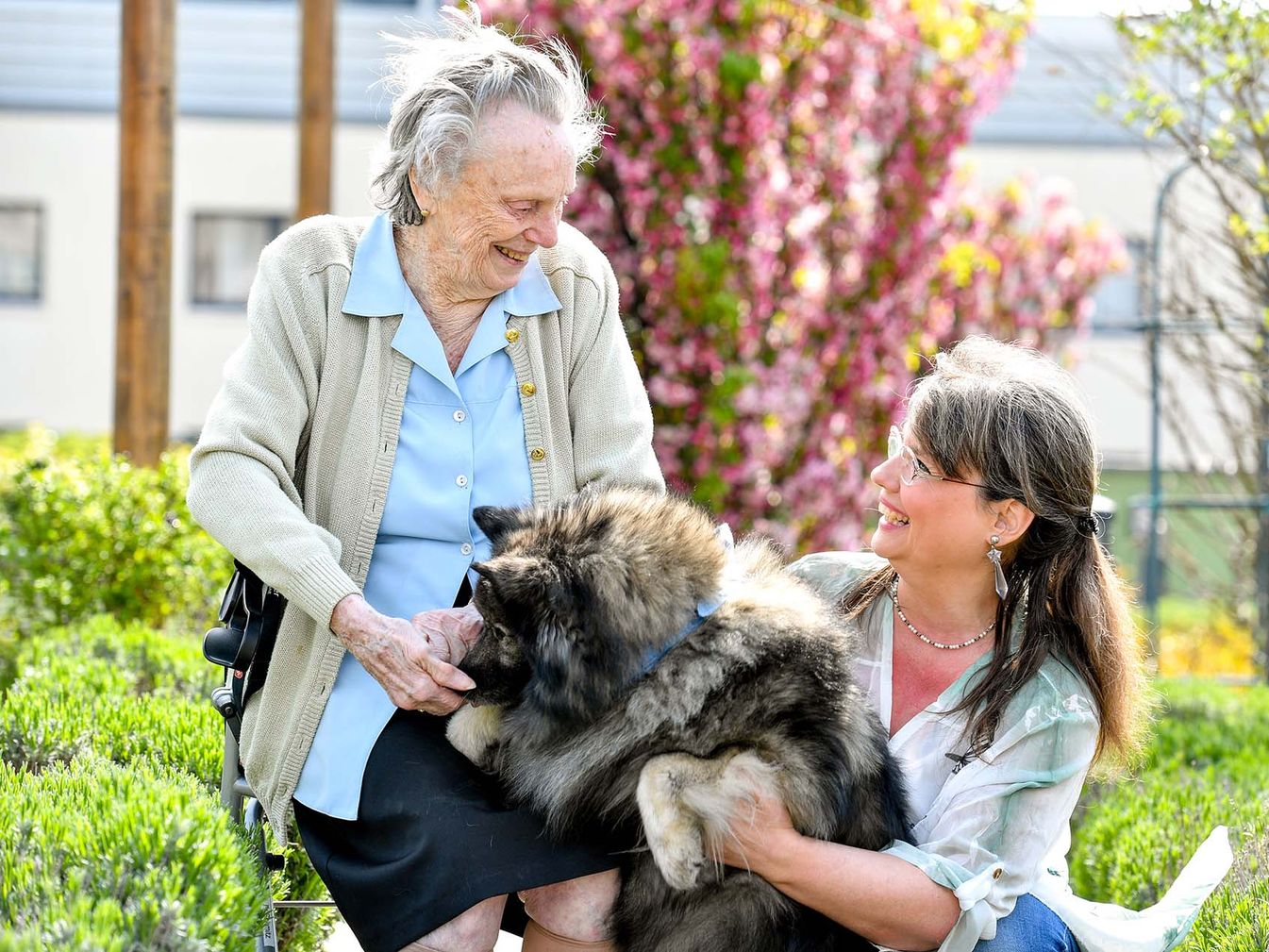 der Soziale Dienst besucht Bewohnerin mit einem Hund