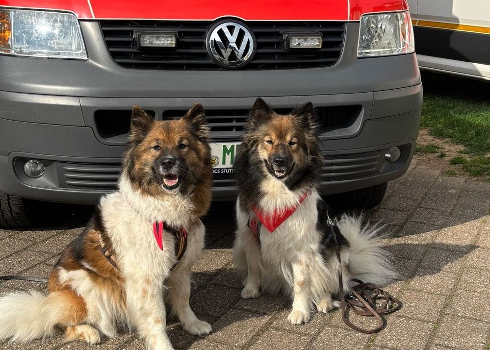 Zum Auftakt liefen vier Besuchshunde-Teams aus dem Besuchs- und Begleitdienst mit Hund mit in die Kirche ein.