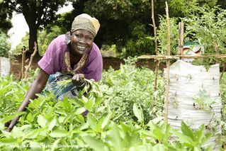 Unser Einsatz für Ernährungssicherheit