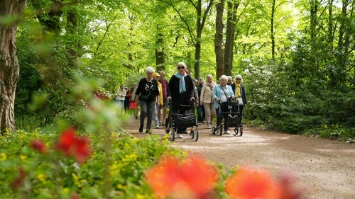 Eine Gruppe von älteren Leuten mit Rollatoren oder andern Gehilfen geht mit Ehrenamtlichen vom Malteser Hilfsdienst durch den grünen Britzer Garten.