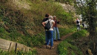 Seniorengruppe der Malteser wandert