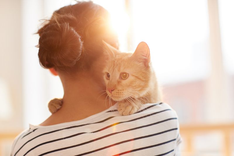 Frau mit Katze auf dem Arm