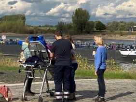 Noch einmal den Rhein sehen