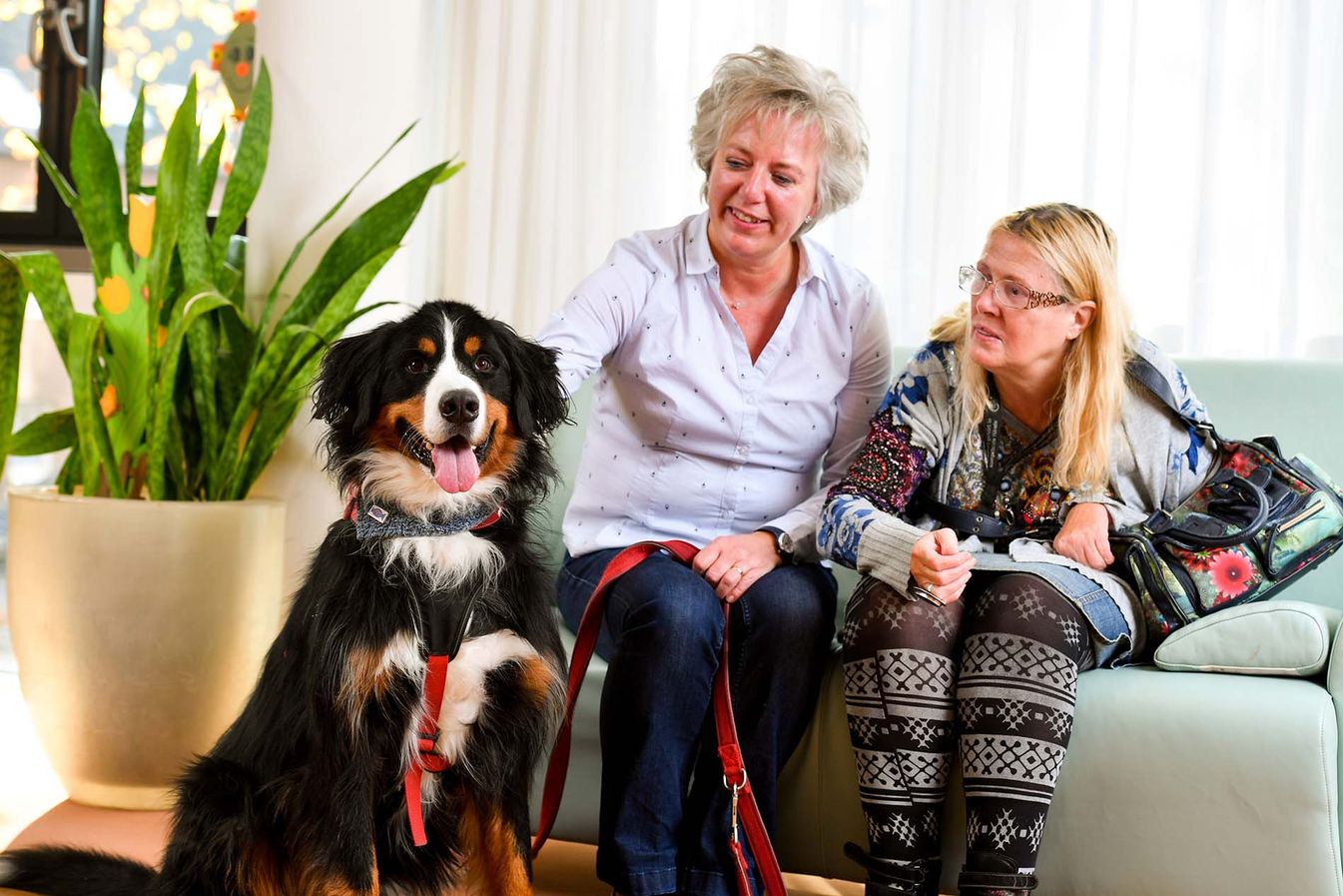 Bewohner bekommen Hundebesuch im Malteserstift St. Nikolaus in Duisburg 