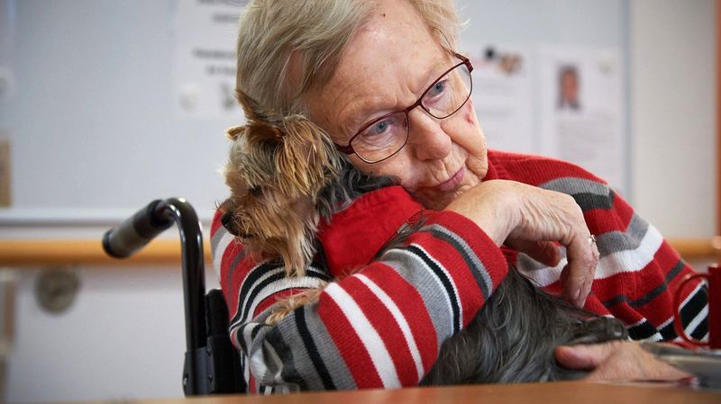 Ein kleiner Hund in den Armen einer älteren Frau im Rollstuhl