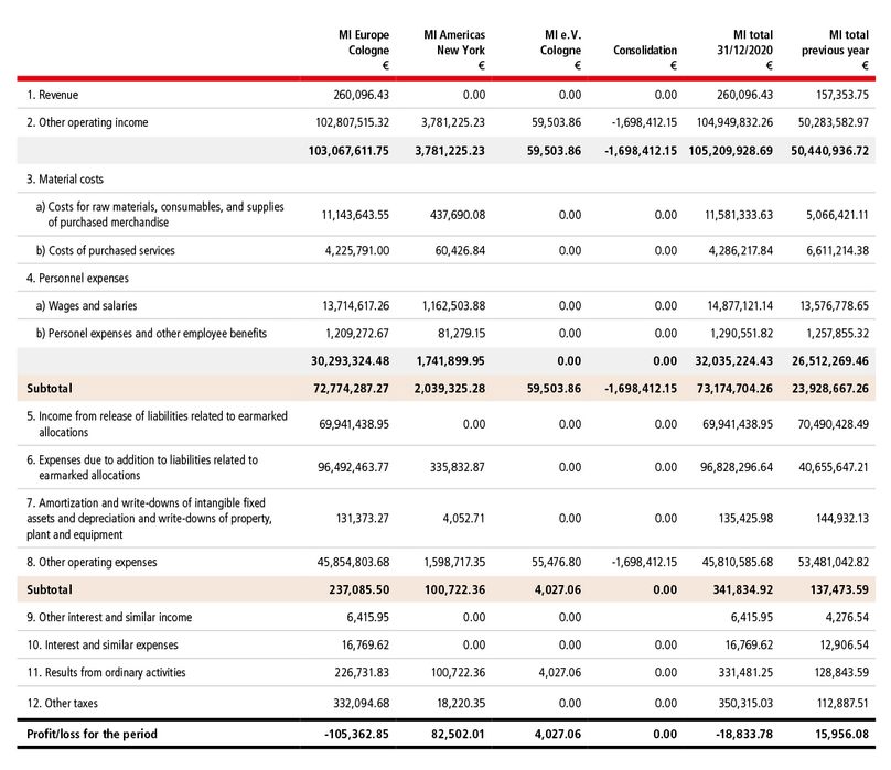 Income statement for January 1 through December 31, 2020 (in euros)