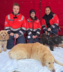 In guten Händen: Ehrenamtliche der Malteser betreuen Hunde, während ihre Besitzerinnen und Besitzer die Veranstaltung genießen. Archivfoto: Sabine Wigbers