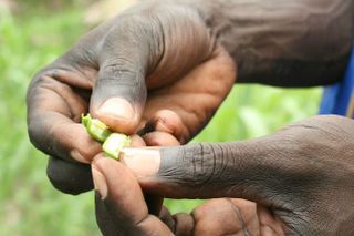 Nachhaltige Landwirtschaft im Südsudan 