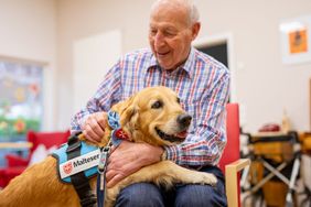 Ein Mann krault einen Besuchshund der Malteser