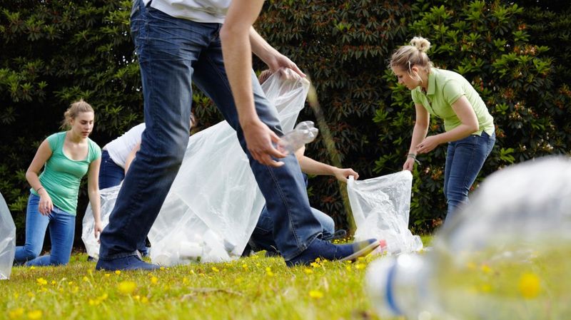 Junge Menschen sammeln Müll auf einer Wiese