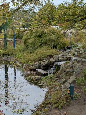 Ein kleiner, plätschernder Wasserfall