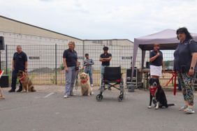 Ein Einblick in das rege und bunte Treiben am vergangenen Samstag rund um das Malteser Zentrum. Geboten wurden afghanischer Tanz, Vorstellung des Besuchs- und Begleitungsdienstes mit Hund, gemeinsame Katastrophenschutz-Übung mit dem THW sowie einen Vortrag zum Thema Patientenverfügung und Co. Fotos: Malteser Fulda/Antonia Sauer