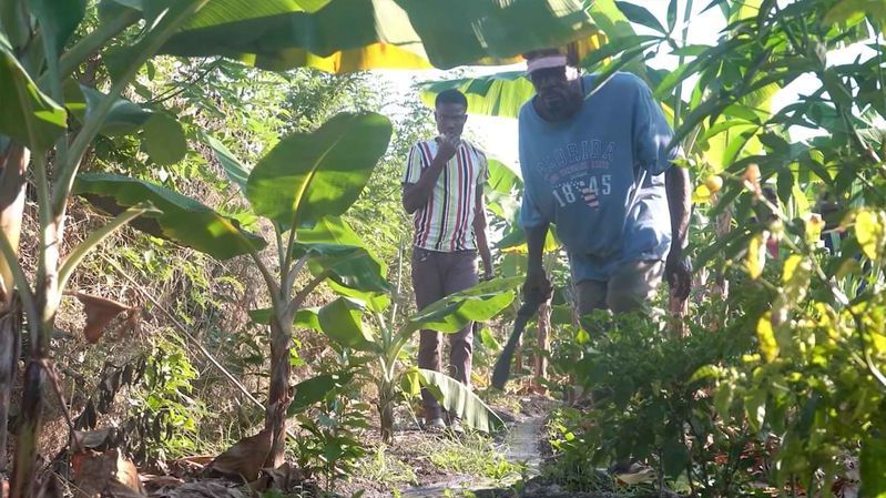 Zwei Männer mit einer Machete in einem bewässerten tropischen Garten