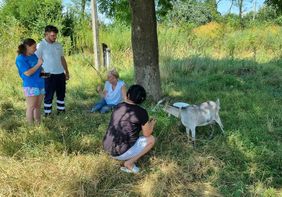 Menschen auf einer Wiese mit einer Ziege