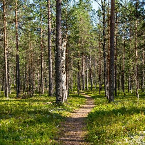 Spazierfreunde der Malteser