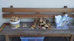 Auf einer Holzbank liegen Holzscheite in verschiedenen Größen und Utensilien zum Feuermachen