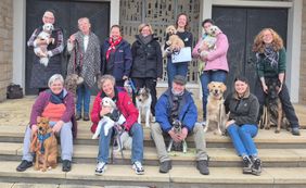 10 Mensch-Hund-Teams vom Malteser Hilfsdienst e.V. Neustadt sitzen auf einer Treppe (Quelle: Malteser Neustadt)