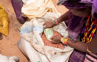 Food distribution Kenya