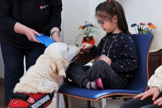 Ein Mädchen sitzt im Schneidersitz auf einem Stuhl und streichelt einen Hund vom Hundebesuchsdienst