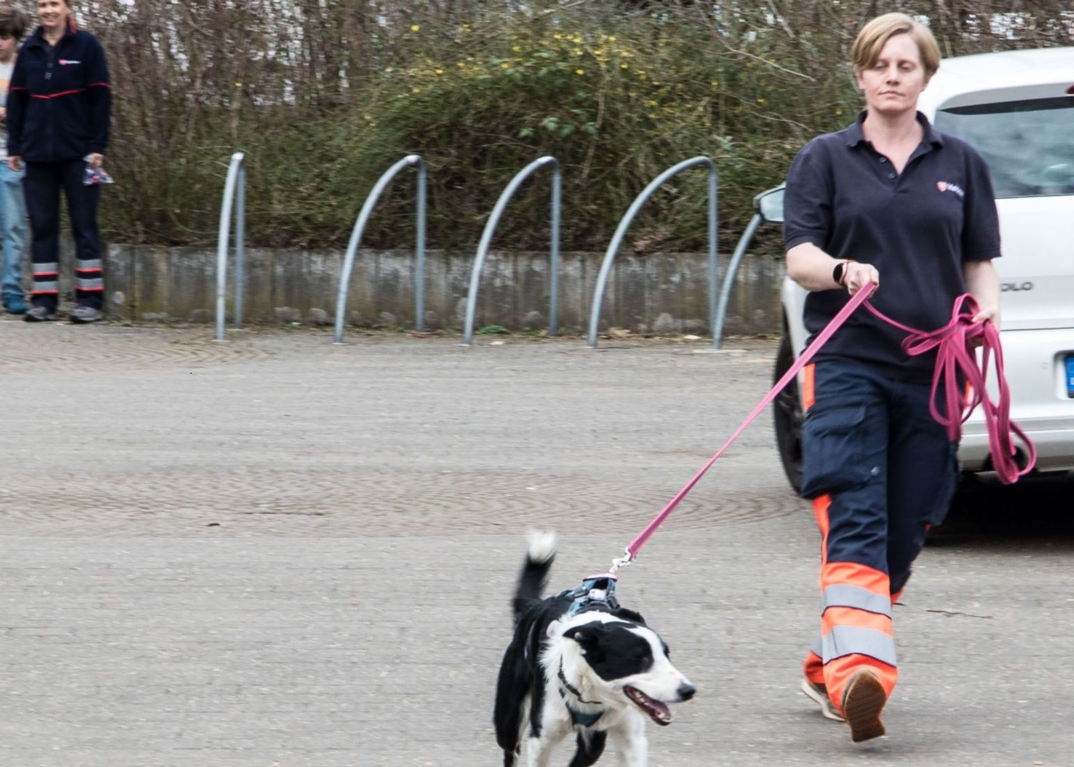 Eine besondere Attraktion war die Malteser Rettungshundestaffel aus Bietigheim-Bissingen. 