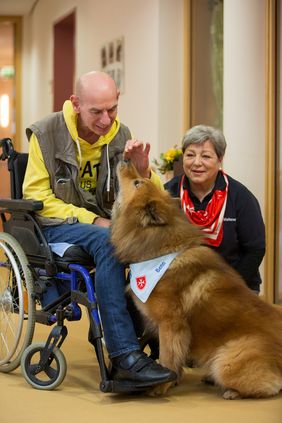 Freude auf beiden Seiten: Im Besuchsdienst mit Hund bringen freundliche Vierbeiner Abwechslung in den Alltag einsamer, alter und erkrankter Menschen. Archivfoto: Tim Tegetmeyer