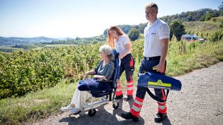 Zwei Malteser begleiten eine Dame in die Natur