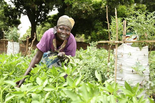 Ernährungsprojekt im Südsudan