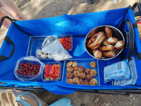 ein blauer Bollerwagen enthält Lebensmittel für ein Picknick