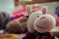 Helfer im Einsatz - Begleiten im Leben und Sterben- Der Malteser Kinder- und Jugendhospizdienst