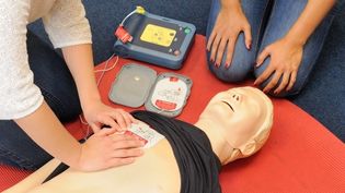 Reanimationsmodell mit Defibrillator