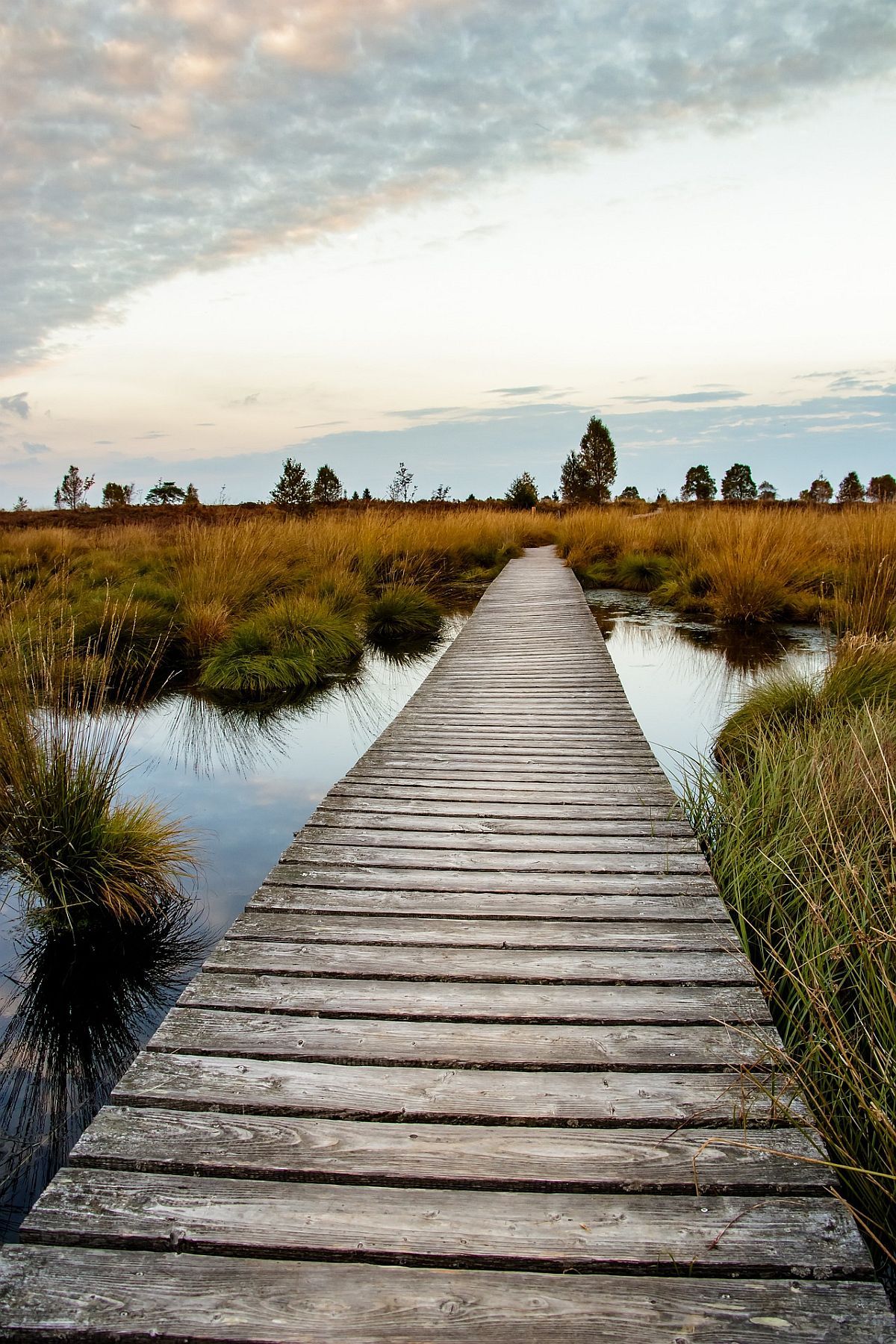 Bild: Herbert Aust / Pixabay