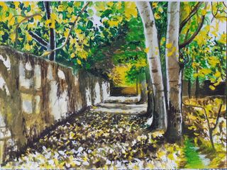 tausende Farben im Herbst_Parisa