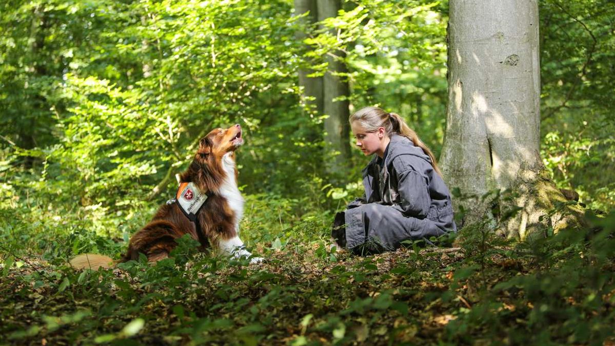 Ein Rettungshund und eine junge Frau in einem Wald