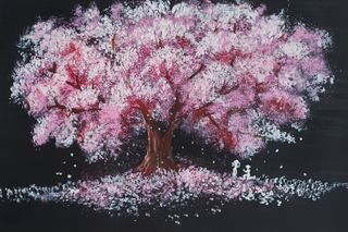 Blüten frühlingshaft_Parisa