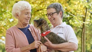 Ältere Dame streichelt einen Dackel den eine Ehrenamtliche vom Hundebesuchsdienst hält