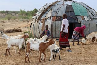 Kenia und Äthiopien: Förderung unserer One-Health-Komponente