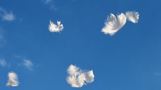 Mehrere weiße Federn schweben vor blauem Himmel mit wenigen Wolken.