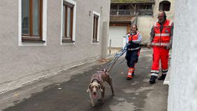 eine Frau in Malteser Kleidung führt einen Rettungshund an der Leine, daneben ein Mann
