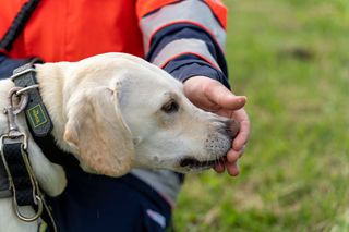 Malteser Besuchsdienst mit Hund