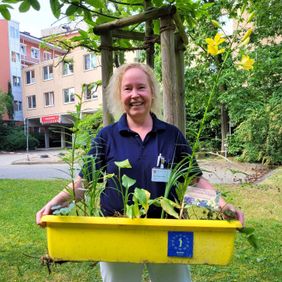 Frau in Arbeitskleidung steht im Grünen und hält eine gelbe Kiste mit Jungpflanzen.