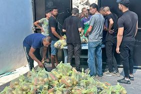 Obst und Gemüse werden ausgegeben. Foto: lpj.org